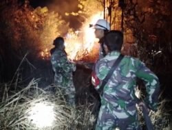 BNPB: Waspada Bencana di Awal Agustus 2025, Karhutla dan Banjir Landa Sejumlah Wilayah