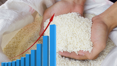 Harga Beras Tembus Rp60 Ribu per Kg, BPS Catat Kenaikan di 200 Daerah