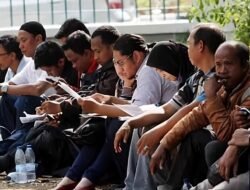 Imbas Penurunan Pasar Eropa, Satu Perusahaan di Sanggau PHK 1.412 Karyawan