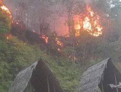 Laporan Terkini BNPB: Rentetan Bencana Hidrometeorologi Melanda Berbagai Provinsi