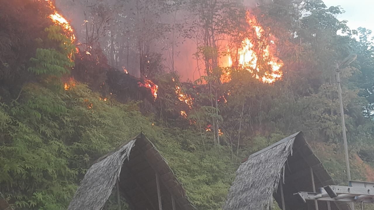 Kebakaran kebun kokoa di Kecamatan Babussalam, Kabupaten Aceh Tenggara, Provinsi Aceh, Sabtu (23/8). Sumber Foto : BPBD Kabupaten Aceh TenggaraKebakaran kebun kokoa di Kecamatan Babussalam, Kabupaten Aceh Tenggara, Provinsi Aceh, Sabtu (23/8). Sumber Foto : BPBD Kabupaten Aceh Tenggara