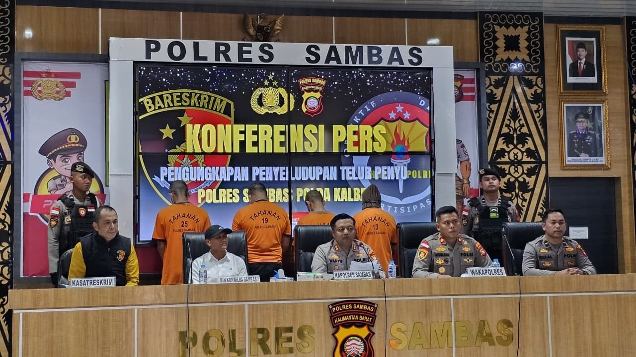 Konferensi Pers Polres Sambas terkait Penyelundupan Ribuan Telur Penyu, Jumat (29/8/2025). (Dok. Polres Sambas)