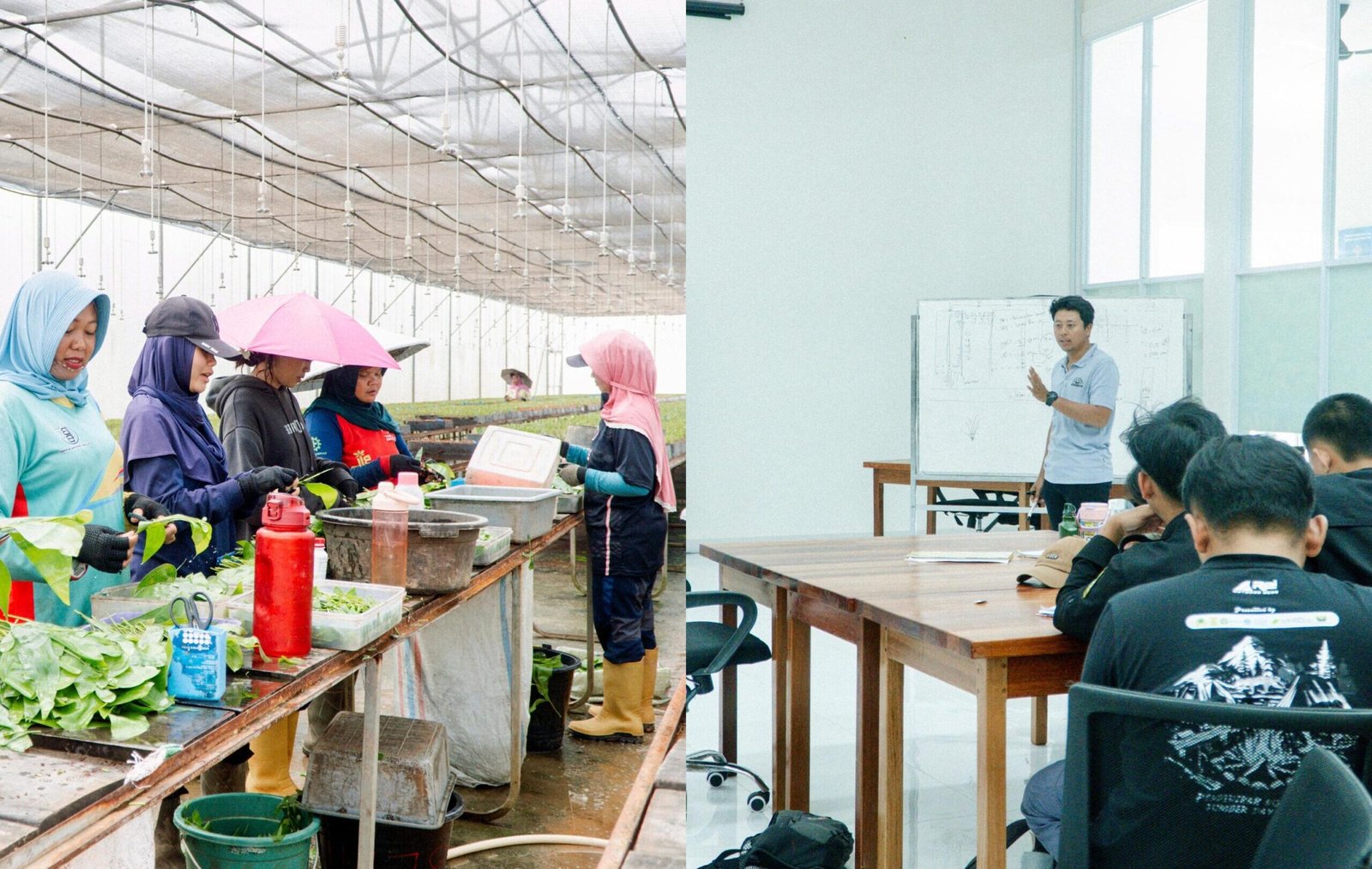 "model-bisnis-mayawana-persada-berbasis-komunitas-lokal"