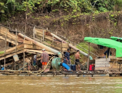 Operasi Penertiban PETI di Bengkayang Diduga Bocor, Penambang Sempat Hentikan Aktivitas