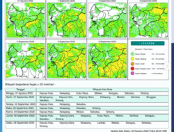 BMKG Kalbar: 7 Wilayah di Kalbar Berpotensi Hujan Lebat Hari Ini