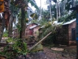 BNPB: Cuaca Ekstrem Picu Bencana Serentak di 5 Provinsi, Warga Diimbau Waspada