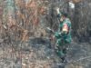 Waspada Puncak Karhutla 7-8 Agustus, Ini Strategi Pencegahan Kodam XII/Tanjungpura
