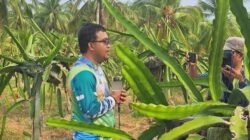 "Darma, koordinator PPL kecamatan Jawai."