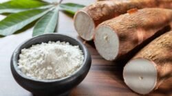 Olah Singkong Menjadi Tepung Mocaf