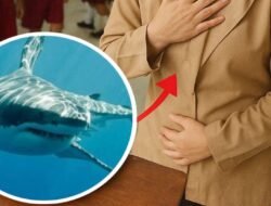 Kasus Hiu Goreng di Ketapang Disorot, BGN: “Apa yang Jadi Kearifan Lokal, Kita Gunakan”