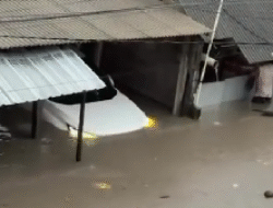 Banjir di Bali Renggut Dua Nyawa dan Rendam Lima Kabupaten/Kota