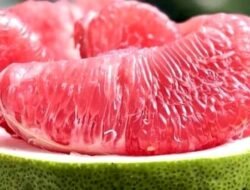 Penderita Diabetes Wajib Tahu: Daftar Buah yang Aman dan Bikin Gula Darah Stabil