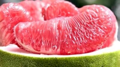 "Penderita diabetes perlu hati-hati memilih buah. Dapatkan panduan lengkap buah yang aman dan membantu menstabilkan gula darah agar Anda tetap sehat."