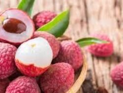 Bahaya Tersembunyi di Balik Buah Favorit: 5 Buah yang Sebaiknya Dihindari saat Sarapan