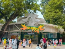 Langkah Tak Terduga, Gugatan Terkait Korupsi Kebun Binatang Bandung Terhadap Wali Kota Dicabut