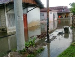 Laporan Peringatan Dini BNPB: Waspada Ancaman Bencana Hidrometeorologi Basah dan Kering