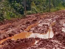 Potret Buram Infrastruktur Sintang: Jalan Begandung di Tempunak Penuh Lumpur dan Genangan