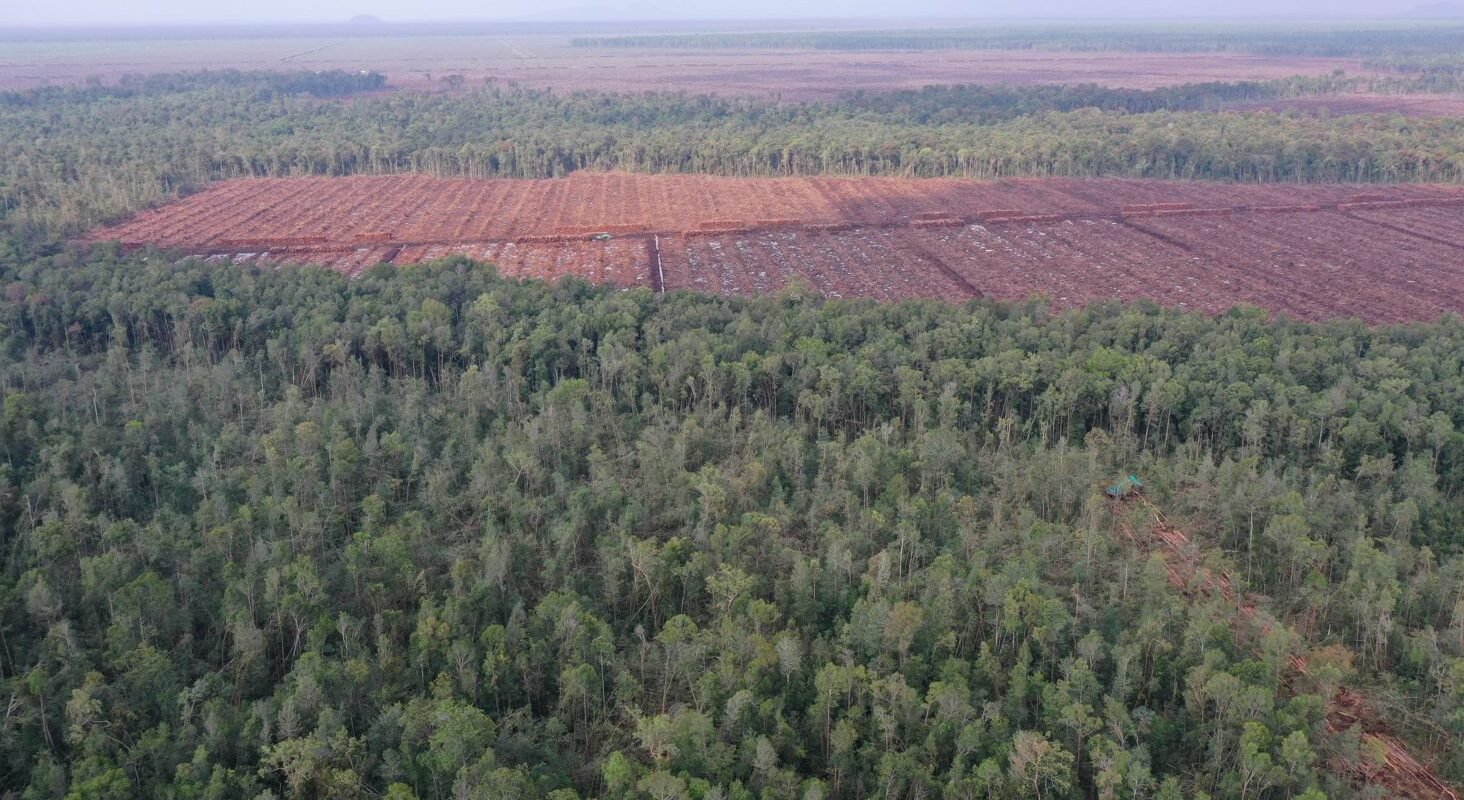 "Peringatan Hari Tani Nasional di Kalbar diwarnai aksi demo. Petani desak pemerintah atasi konflik agraria dan perampasan lahan oleh perusahaan di berbagai wilayah."