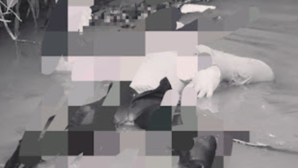 "Warga Tempunak, Sintang digegerkan oleh penemuan mayat yang mengambang di Sungai Kapuas. Jenazah korban dievakuasi ke rumah sakit untuk identifikasi. "