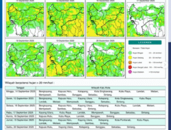 Prakiraan Cuaca Kalimantan Barat Hari Ini: BMKG Peringatkan 12 Wilayah Waspada Hujan Lebat