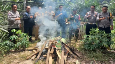 Polsek Tumbang Titi memusnahkan arena judi sabung ayam di Desa Pebihingan usai menerima laporan warga.