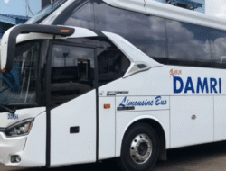 Panduan Lengkap Naik DAMRI Rute Pontianak-Sintang