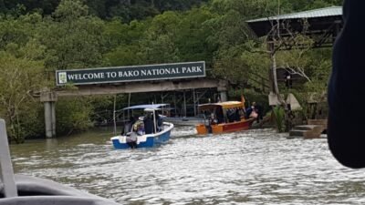 Kolaborasi BoSAN UNIMAS–UNTAN 2025 yang menyatukan akademisi, komunitas, dan teknologi QR-coded seedling untuk menjaga ekosistem mangrove di Borneo.