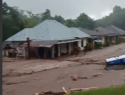 Banjir Bandang Nagekeo: Tiga Orang Tewas, Empat Lainnya Hilang.