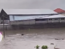 Update Banjir Bali: 9 Meninggal, 2 Hilang, dan 620 Jiwa Terdampak