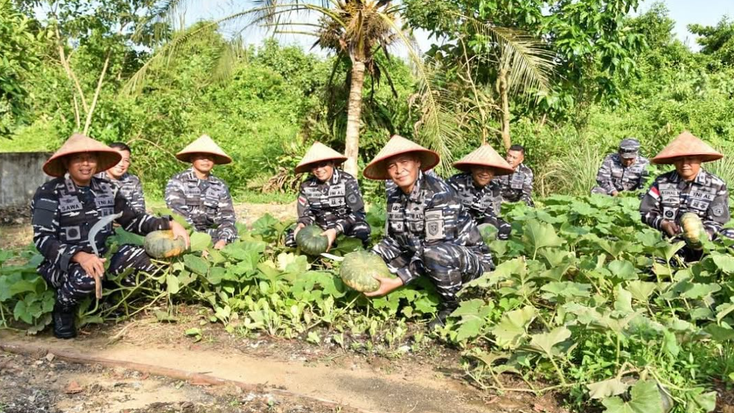 Komandan Kodaeral XII, Sawa (tengah), bersama para pejabat utama lainnya saat melakukan panen labu di kebun ketahanan pangan Mako Kodaeral XII. (Dok. Instagram/@kodaeral_xii)