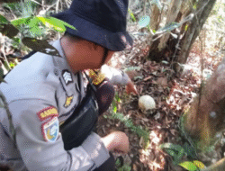 Hilang Hampir Setahun, Karyawan Swasta Ditemukan Tinggal Tengkorak di Lahan PT Antam