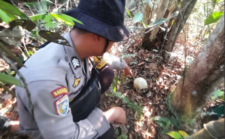 Petugas kepolisian dari Polsek Tayan Hilir dan Inafis Polres Sanggau saat melakukan olah TKP penemuan tengkorak manusia di area lahan PT Antam. (Dok. HO/Faktakalbar.id)
