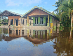 Banjir Rendam 2 Kabupaten di Kalteng, BNPB Laporkan Rentetan Bencana di Sejumlah Wilayah