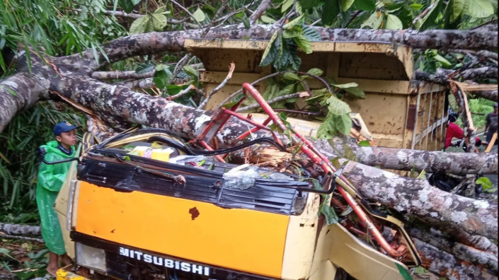 Sebuah pohon besar yang tumbang akibat angin kencang menimpa tiang dan kabel listrik di Kecamatan Sanggau Ledo, Bengkayang. (Dok. Ist)