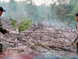 Tim Gabungan Cek 23 Hotspot di Sanggau, Semua Ternyata dari Aktivitas Buka Lahan Warga