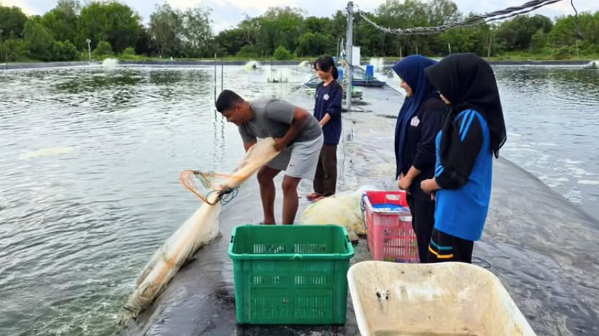 Petugas DKP Kalimantan Barat sedang mengambil sampel air di salah satu lokasi budidaya ikan di wilayah pesisir. (Dok. Instagram/@dkp.prov.kalbar)
