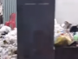 Penonton Kejuaraan Silat di GOR Pangsuma Keluhkan Sampah Berserakan