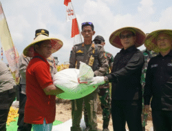 Panen Raya Jagung, Wabup Sukardi Optimis Kapuas Hulu Jadi Sentra Produksi Nasional