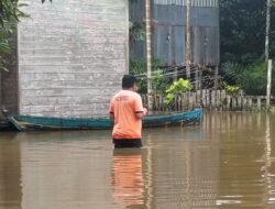 7 Desa di Ketapang Terendam Banjir, Ratusan Warga Terdampak