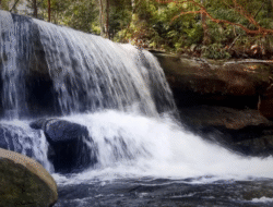 Sembilan Destinasi Wisata di Sanggau, Eksplorasi Pesona Alam dan Budaya yang Tak Terlupakan