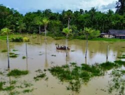 Tiga Wilayah di Indonesia Dilanda Banjir, BNPB Ungkap Data Dampak dan Penanganan