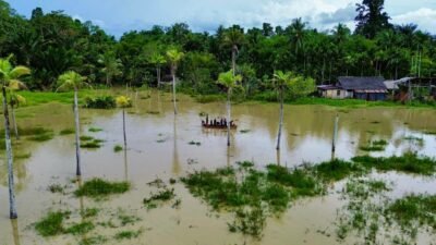 Tiga Wilayah di Indonesia Dilanda Banjir, BNPB Ungkap Data Dampak dan Penanganan