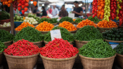Ilustrasi tumpukan cabai merah dan hijau. (Dok. Ist)