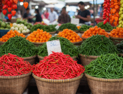 Kenaikan Harga Cabai Merah Besar di Pontianak, Ini Harga Bahan Pokok Lainnya