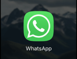 Panduan Mudah Cara Pindahkan WA dari Android ke iPhone Tanpa Khawatir Chat Hilang