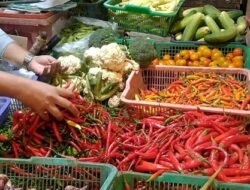 Harga Bawang dan Telur di Sambas Turun, Beri Angin Segar untuk Masyarakat