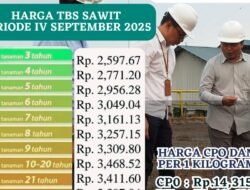 Harga TBS Kelapa Sawit Kalbar Periode September 2025 Ditetapkan Naik Rp21,67/Kg
