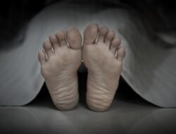 Perampokan di Kayong Utara Berujung Maut: Wanita Ditemukan Tewas Bersimbah Darah di Perkebunan Kelapa Sawit