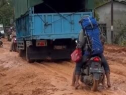 Akses Jalan Mentubang di Kayong Utara Rusak Parah, Warga Kesulitan Melintas