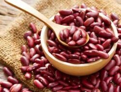 Tidak Semua Sayuran Aman, Kenali 5 Jenis yang Berbahaya Jika Salah Olah